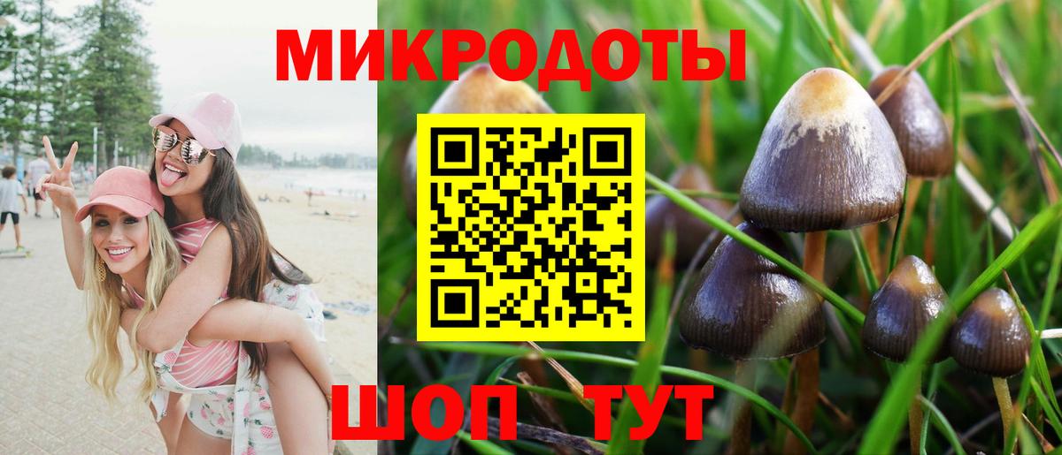 Галлюциногенные грибы GOLDEN TEACHER  Вход с VPN  Грозный 